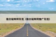独立站如何引流（独立站如何推广引流）
