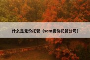 什么是竞价托管（sem竞价托管公司）