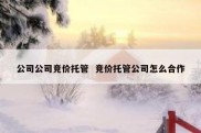公司公司竞价托管  竞价托管公司怎么合作