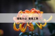 变现入口  变现工具