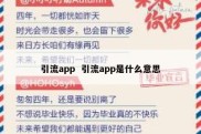 引流app  引流app是什么意思