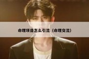 命理项目怎么引流（命理交流）