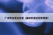 广州专业竞价托管（最好的竞价托管费用）