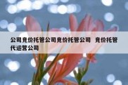 公司竞价托管公司竞价托管公司  竞价托管代运营公司