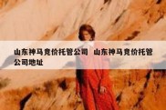 山东神马竞价托管公司  山东神马竞价托管公司地址