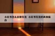 小红书怎么去做引流  小红书引流的具体操作