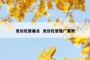竞价托管痛点  竞价托管推广案例