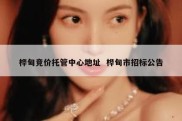 桦甸竞价托管中心地址  桦甸市招标公告