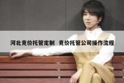 河北竞价托管定制  竞价托管公司操作流程