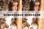 镇江搜狗竞价托管公司  搜狗竞价怎么收费