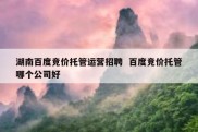 湖南百度竞价托管运营招聘  百度竞价托管哪个公司好