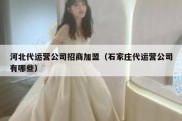 河北代运营公司招商加盟（石家庄代运营公司有哪些）
