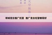 项城竞价推广托管  推广竞价托管哪家好