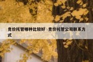 竞价托管哪种比较好  竞价托管公司联系方式