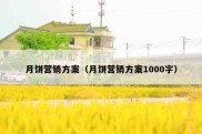 月饼营销方案（月饼营销方案1000字）
