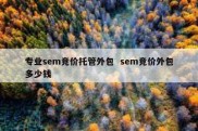 专业sem竞价托管外包  sem竞价外包多少钱
