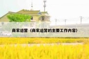 商家运营（商家运营的主要工作内容）