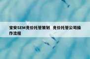 宝安SEM竞价托管策划  竞价托管公司操作流程