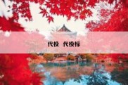 代投  代投标
