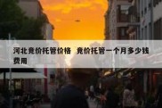 河北竞价托管价格  竞价托管一个月多少钱费用