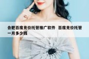 合肥百度竞价托管推广软件  百度竞价托管一月多少钱