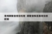 常州网销宝竞价托管  网销宝和百度竞价的区别