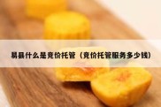 易县什么是竞价托管（竞价托管服务多少钱）