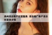 扬州竞价账户托管服务  竞价推广账户竞价托管多少钱