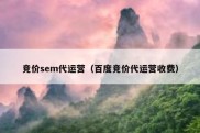 竞价sem代运营（百度竞价代运营收费）
