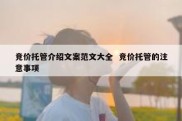 竞价托管介绍文案范文大全  竞价托管的注意事项