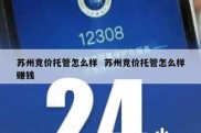 苏州竞价托管怎么样  苏州竞价托管怎么样赚钱