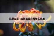 流量运营  流量运营商是什么意思