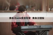 青白江sem竞价托管  青白江招标