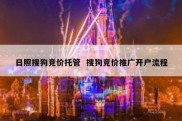 日照搜狗竞价托管  搜狗竞价推广开户流程