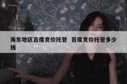 海东地区百度竞价托管  百度竞价托管多少钱