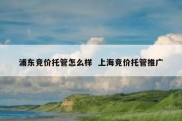 浦东竞价托管怎么样  上海竞价托管推广