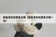 武昌竞价托管多少钱（武昌竞价托管多少钱一次）