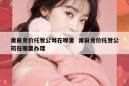 莆田竞价托管公司在哪里  莆田竞价托管公司在哪里办理