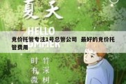 竞价托管专注1号总管公司  最好的竞价托管费用