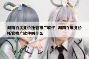 湖南百度竞价托管推广软件  湖南百度竞价托管推广软件叫什么