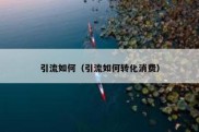 引流如何（引流如何转化消费）