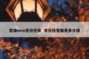 楚雄sem竞价托管  竞价托管服务多少钱