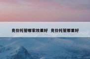竞价托管哪家效果好  竞价托管那里好