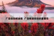 广告投放精准很  广告精准投放的重要性