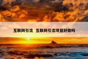 互联网引流  互联网引流项目好做吗