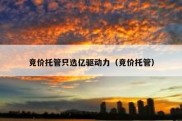 竞价托管只选亿驱动力（竞价托管）