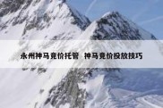 永州神马竞价托管  神马竞价投放技巧