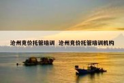 沧州竞价托管培训  沧州竞价托管培训机构