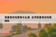 百度竞价托管有什么用  云浮百度竞价托管团队