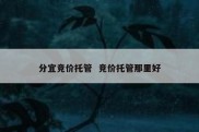 分宜竞价托管  竞价托管那里好